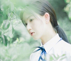 卵泡回声偏实（什么叫卵泡回声）