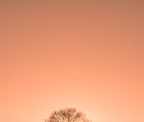 合肥哪有捐卵的医院，附试管成功率与捐卵详细流程 ！